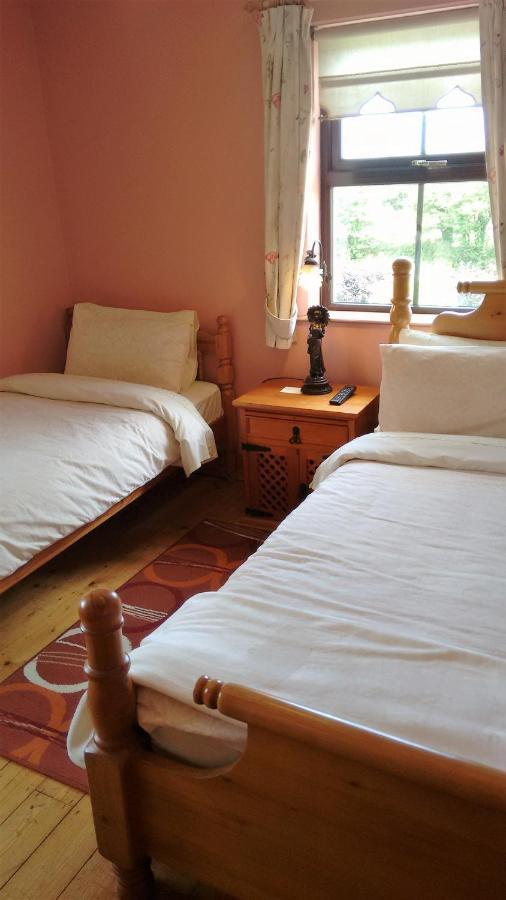 Grannagh Castle House Bed and Breakfast Waterford Eksteriør billede