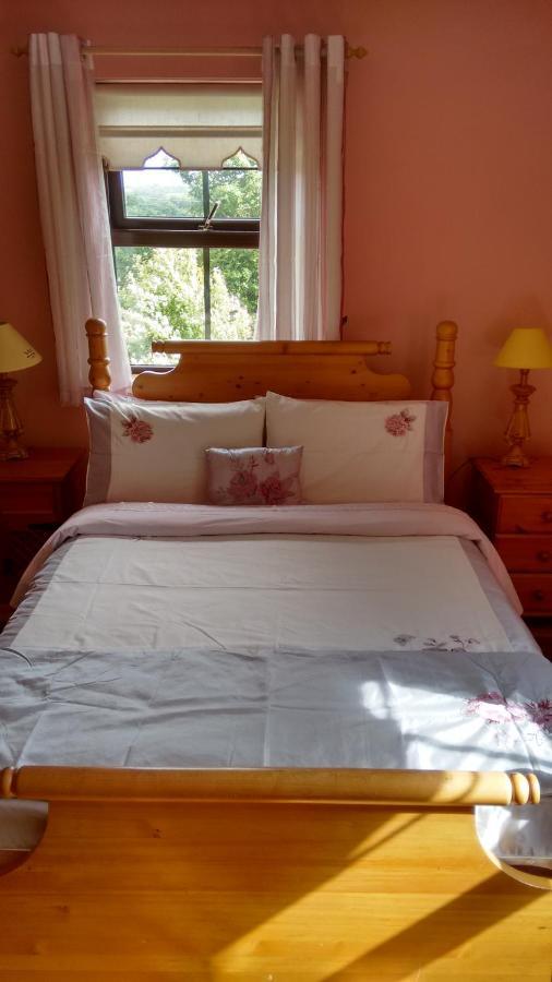 Grannagh Castle House Bed and Breakfast Waterford Eksteriør billede